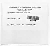 Image Associated With the Occurrence